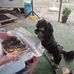Simone Trott - Facebook