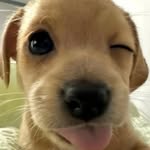 Simón Velásquez - @simon_velasquez17 - Instagram