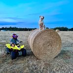 Simon Warner - Facebook