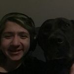 Simon Webber - @actionhorse.4 - Instagram