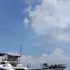Simon Wiley - @simon.wiley5 - TikTok