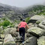 Simone Wiley - @simonerwiley - Instagram