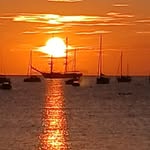Simon Wilkins - @simon.wilkins.1447 - Instagram