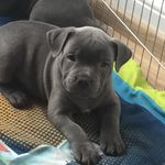 Simon Woods - @simonwoods2775 - Instagram