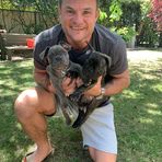 Simon Woolford - Facebook