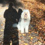 Simon Wootton - @sam.wootton48 - Instagram