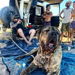 Simon Wootton - @simmo_the_one_and_only - Instagram