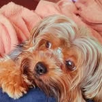 Simon - @simonyork2021 - Instagram