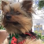 Simon - @simonyorkshire - Instagram