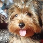 Simon_York - @simon_10082019 - Instagram