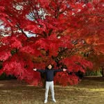 Simon Yuen - @simonyuen1995 - Instagram