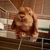 simonacarrarini - @simonacarrarini - TikTok