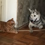 Simona & Thomas - @simona.and.thomas - Instagram
