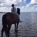 Simone Andersen - @simoneandersen_ - Instagram