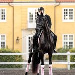 Simone Hoppe Andersen - @simones_horseworld - Instagram