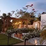 Simone Barros - @nyzia_garden - Instagram