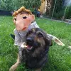Simone Bauer593 - @simonebauer593 - TikTok