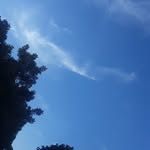 simone_BLUE2011 - @simone_blue2011 - Instagram