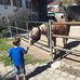 Simone Blue - Facebook