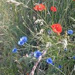 Simone Blum - Facebook
