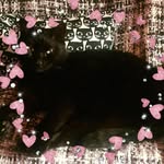 Simone Boyd - @toffee.and.fudge - Instagram