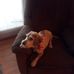 Simone Boyd - Facebook