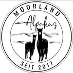 Simone Breuer - @moorland_alpakas - Instagram