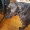 Simone Bright - @simone_and_bailey - TikTok