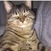 Simone Caron - Facebook