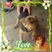 Simone Chauvin - Facebook