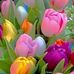 Semone Conner - Facebook