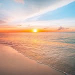 Simone Cramer Flinn - @simflinn - Instagram