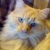 Simone Fabre - Facebook