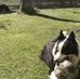 Simone Forrest D'Amico - Facebook