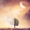 simonefortin077 - @donut_s11_88 - TikTok