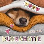 pa - @simone.giannelli - Instagram
