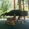 Simone Giannelli Calisthenics - @punkoach - TikTok