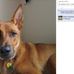 Simone Rosenberg Goldstein - Facebook