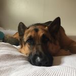 Simone Henderson - @mylifeisweird345 - Instagram