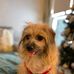 Simone Henderson - Facebook