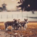 Simone Herman - @simo_neherman - Instagram
