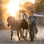 Simone Korbanek - @simone.korbanek.horsemanship - Instagram