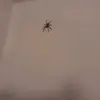 Simone Kurtz - @user398736725 - TikTok