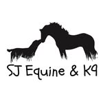 Simone Lawrence - @sjequineandk9 - Instagram