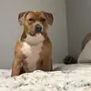 Simone Lloyd - @simone.lloyd0 - TikTok