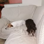 Simone Lombardi - Facebook