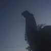 Simone Mayer - @simone.mayer206 - TikTok