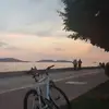 simone_mayer - @simone_mayer - TikTok