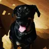 Simone McClain - @simone.mcclain - TikTok