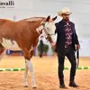 Simoneranch - @simonenardi84 - TikTok